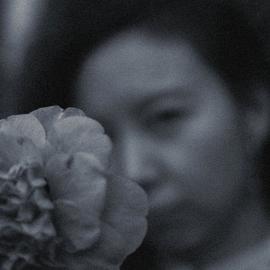 Qi Wang